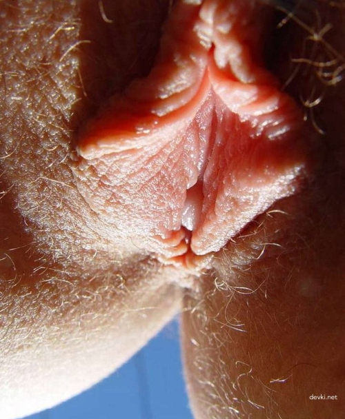 Amateur College Girl Pussy Close-up: Explicit Student Photo