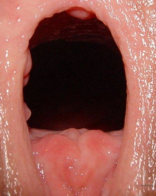 Amateur Pussy Extreme Close-Up - Explicit Porn Pic